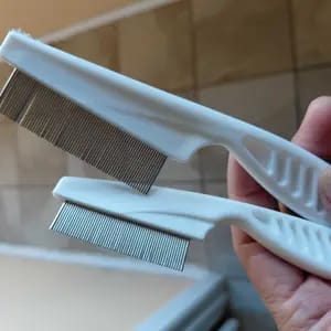 Customer photo review of Rimozione Pelo Antipulci Pettine in Acciaio Inox per Animali