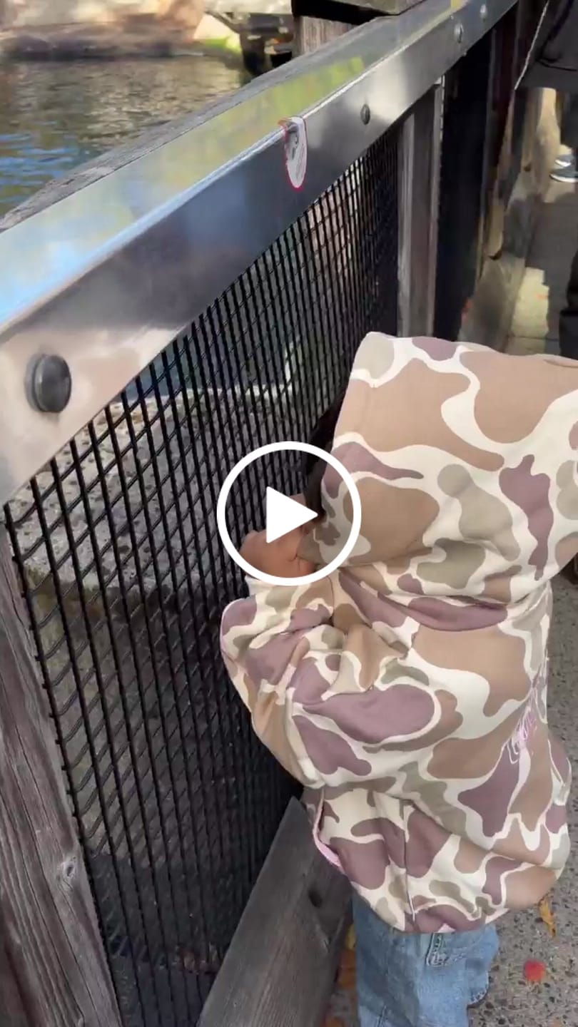 Customer video review of Nomad Hoodie