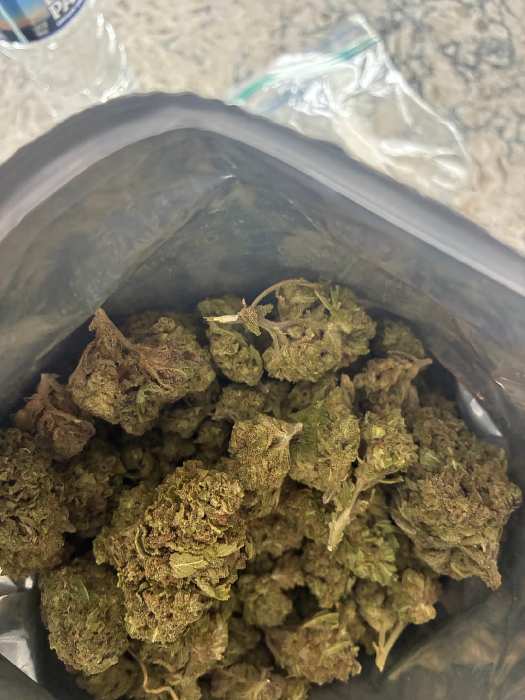 Customer photo review of THCA Queen