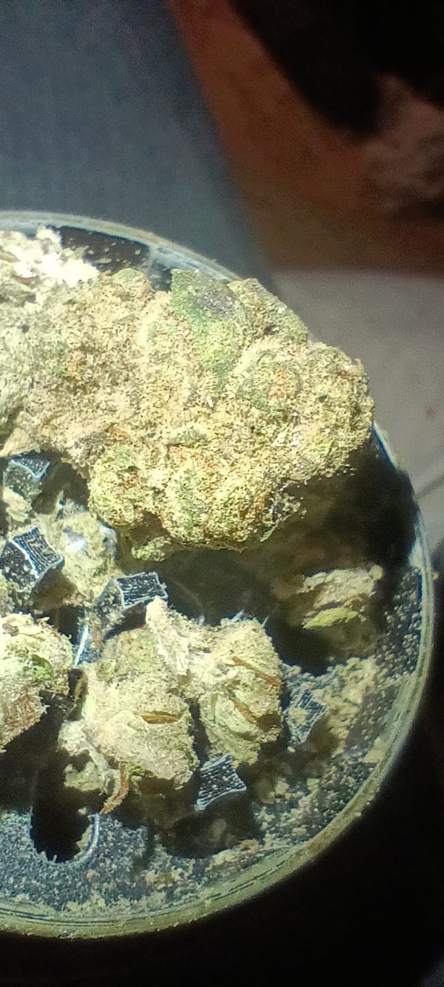 Customer photo review of Cheap Indoor THCA Flower Ounce