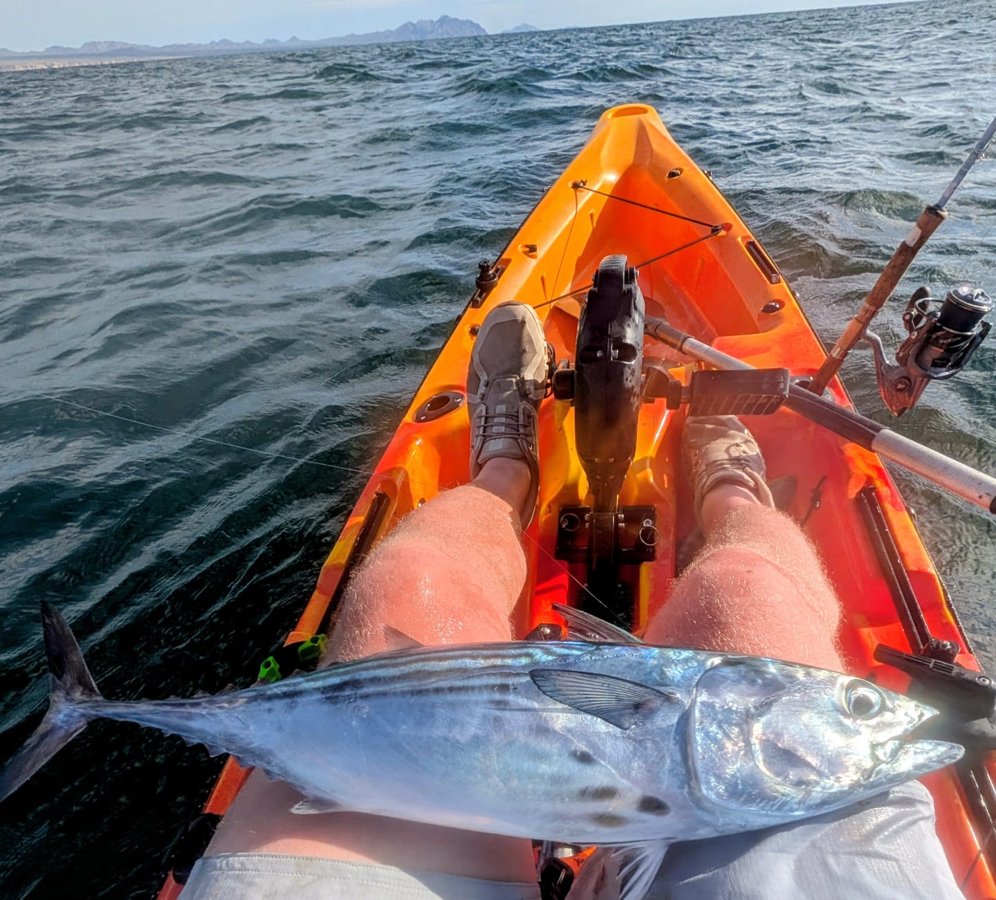 Customer photo review of Stono Inshore Rod
