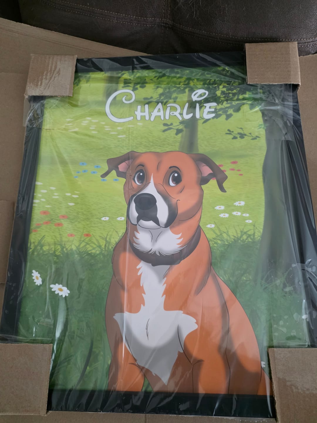 Customer photo review of Custom Hand-Drawn Cartoon Pet Portrait