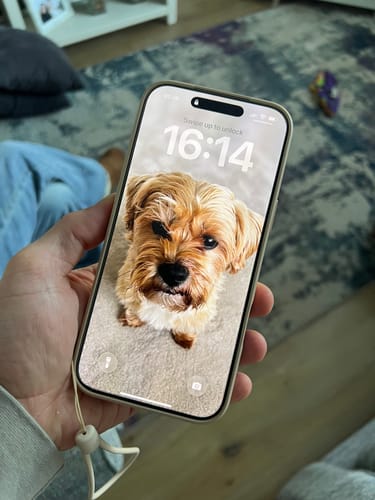 Customer's Apple iPhone 17 Pro Max being held, showing a clear, bright screen with a dog portrait on the wallpaper.