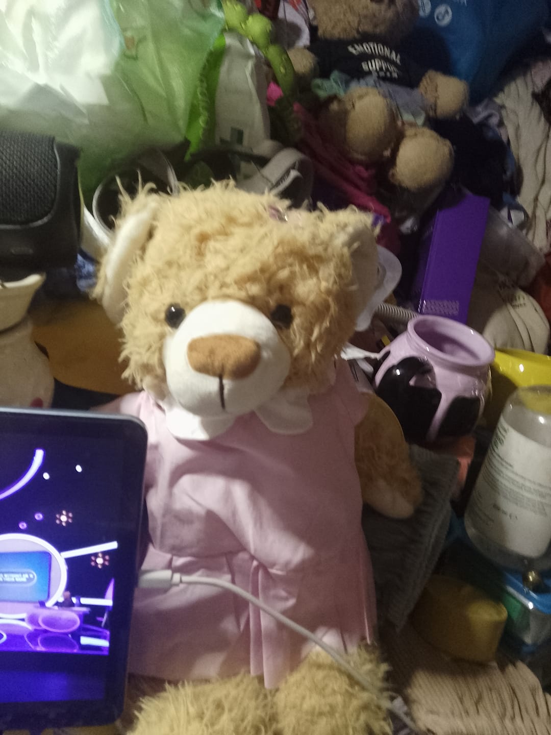 Customer photo review of Peggy The Teddy Bear