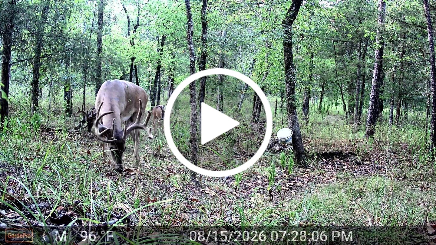 Customer video review of GardePro E8 2.0 Pro Wi-Fi Trail Camera