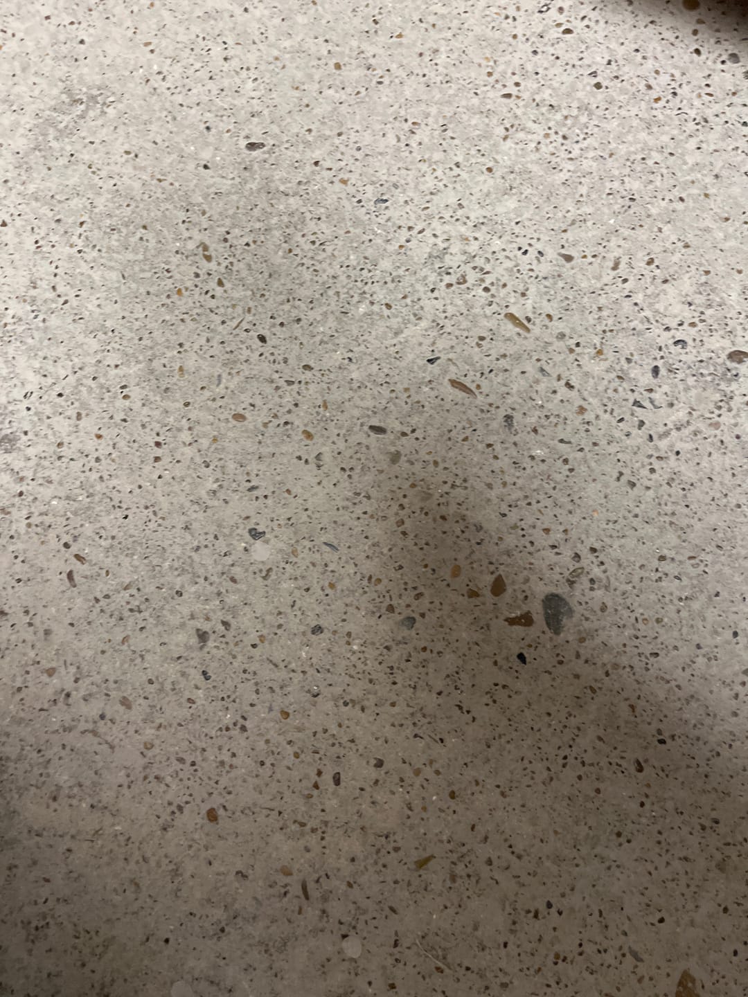 Customer photo review of Strawberry Cough THCA Flower