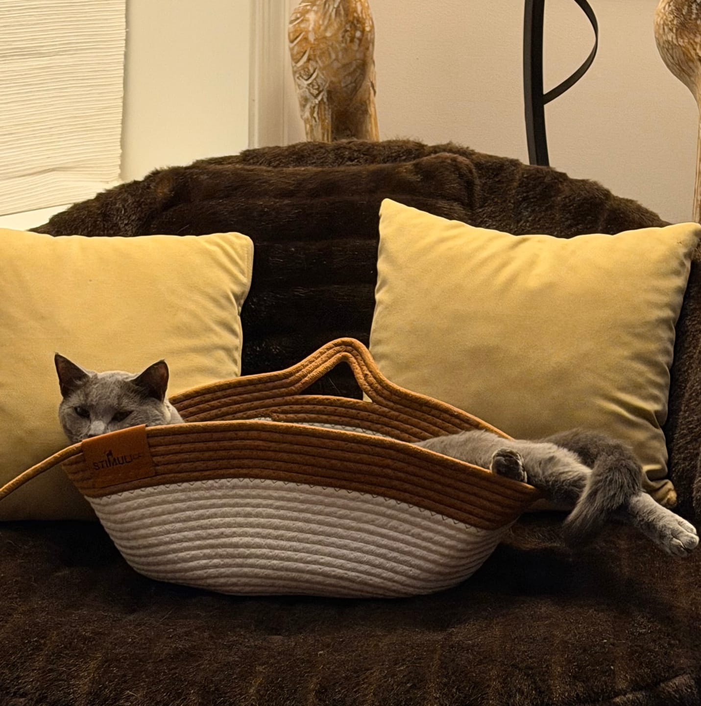 Customer photo review of Instinct Basket | Meet the first research-backed natural territory for indoor cats