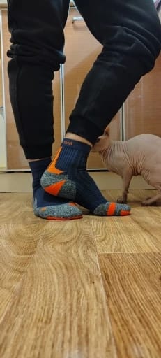 Customer photo review of Court Crew Sock