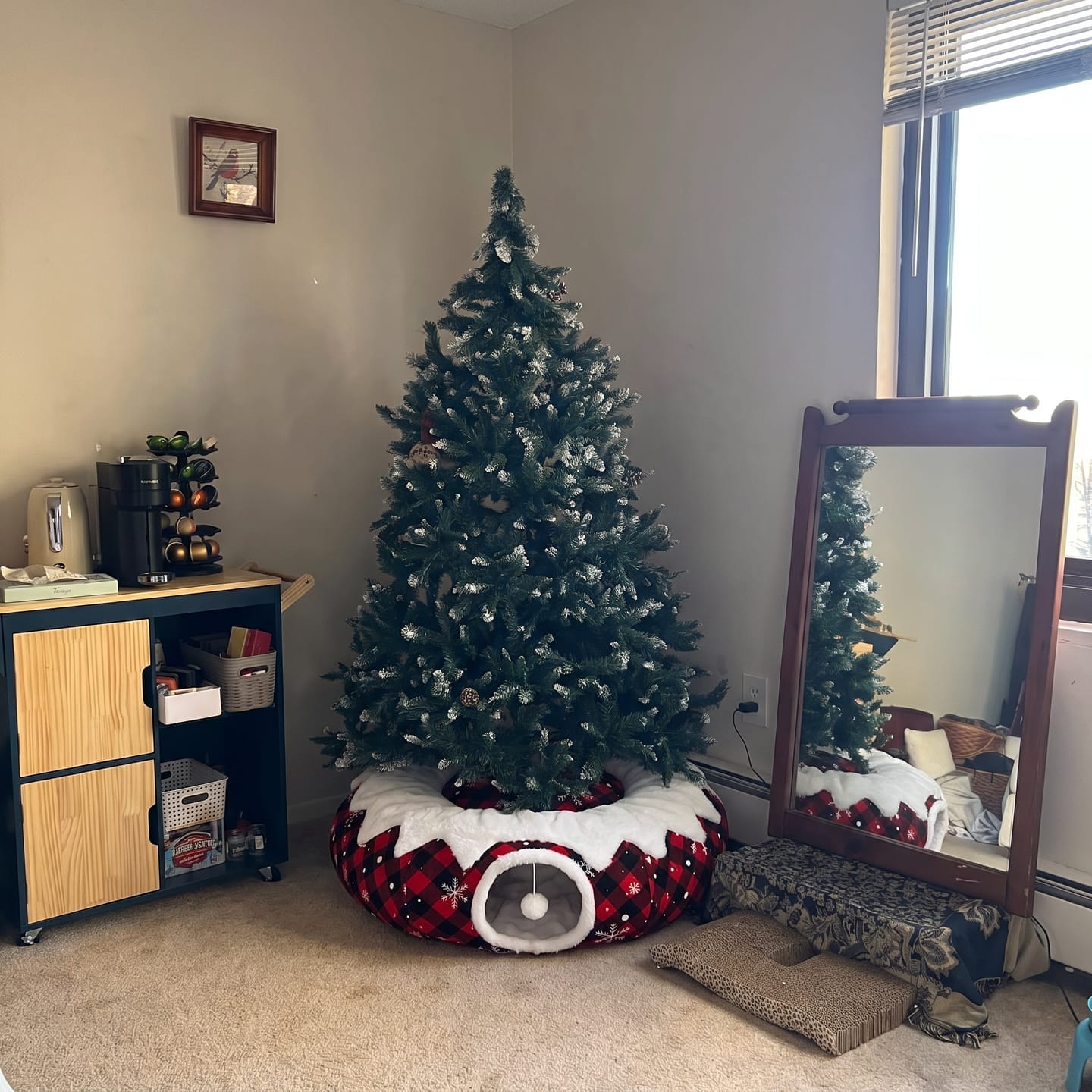 Customer photo review of Cama Túnel para Gato Navidad