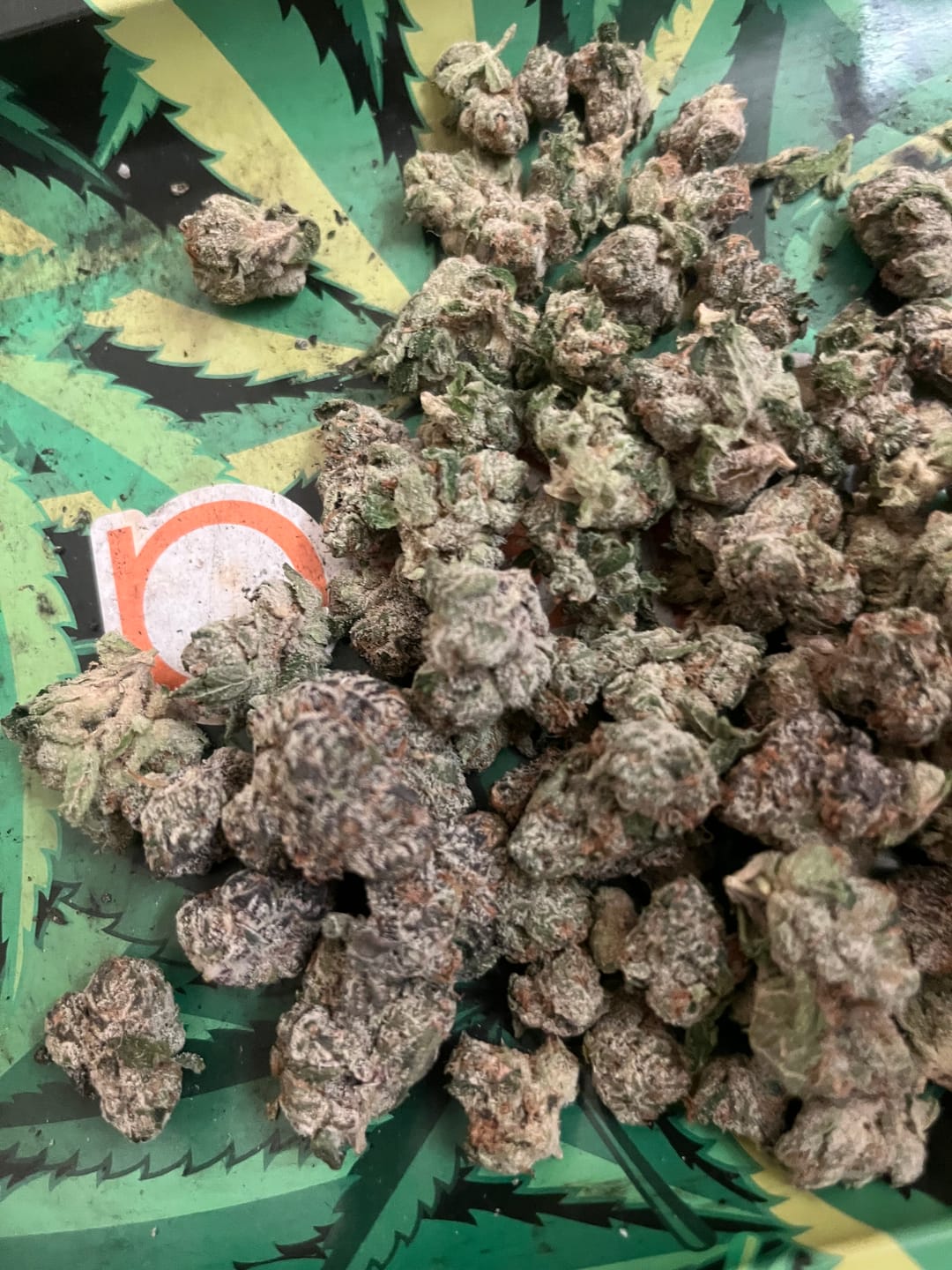 Customer photo review of Runtz THCA Flower (Budget)
