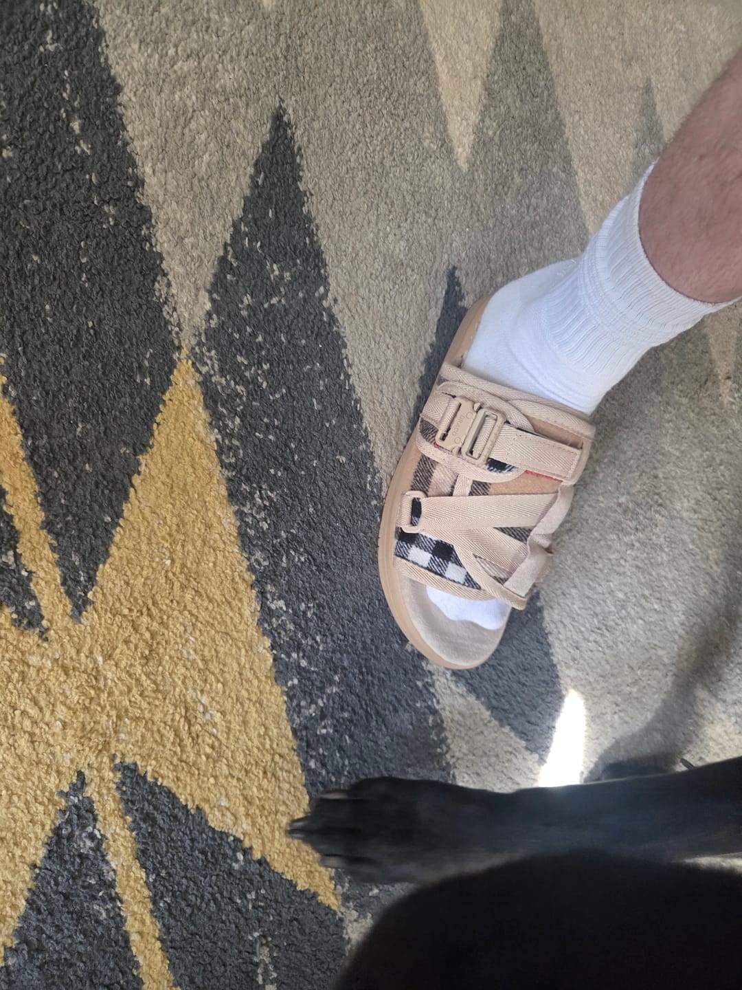 Customer photo review of Plaid DracoSlides