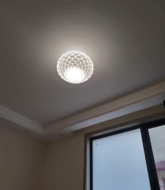 Customer photo review of Fish-Scale Oval Ceiling Light, White Metal Body, Hardwired