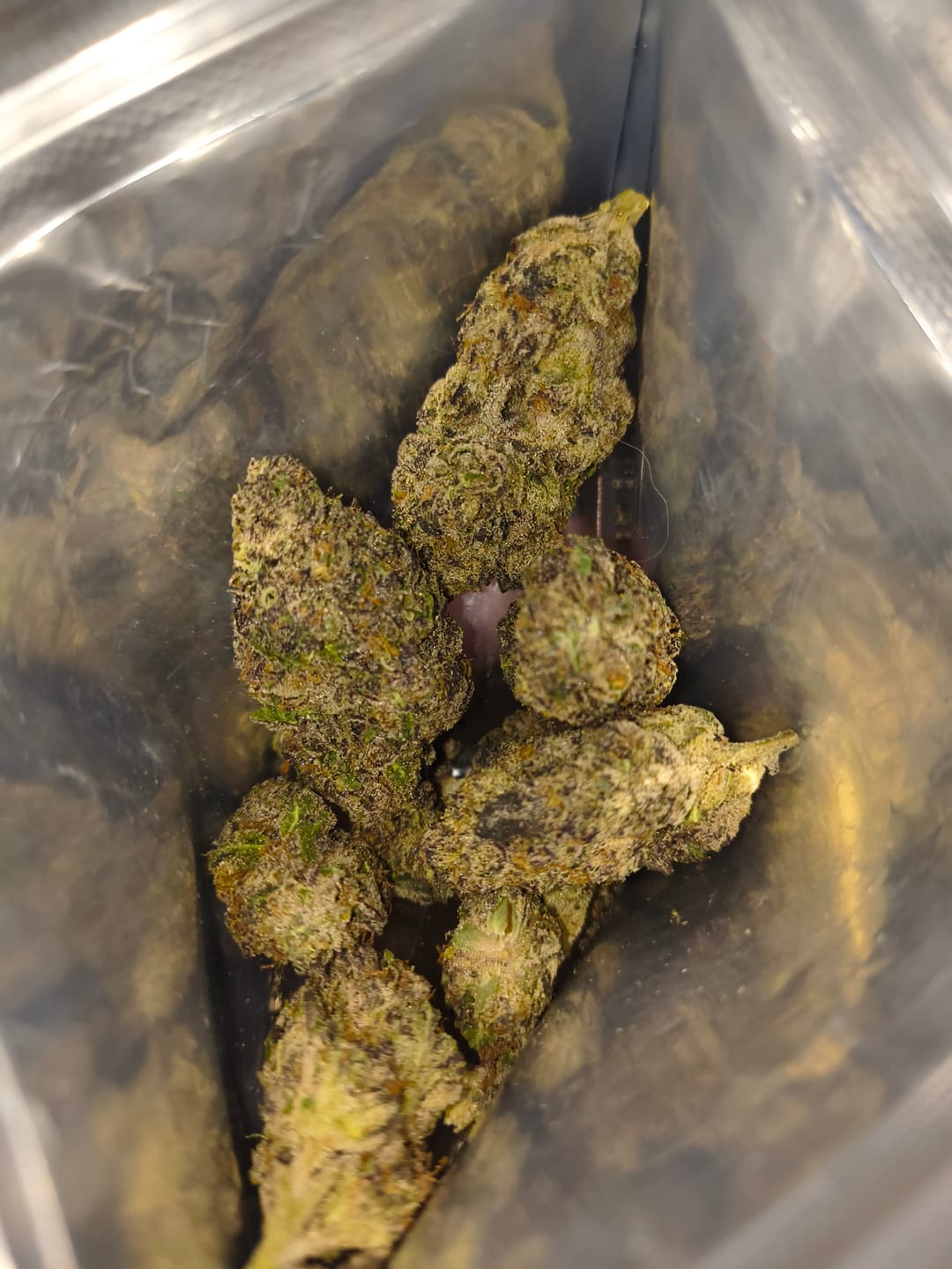 Customer photo review of Exotic Indoor Express THCA Flower (7 Grams)