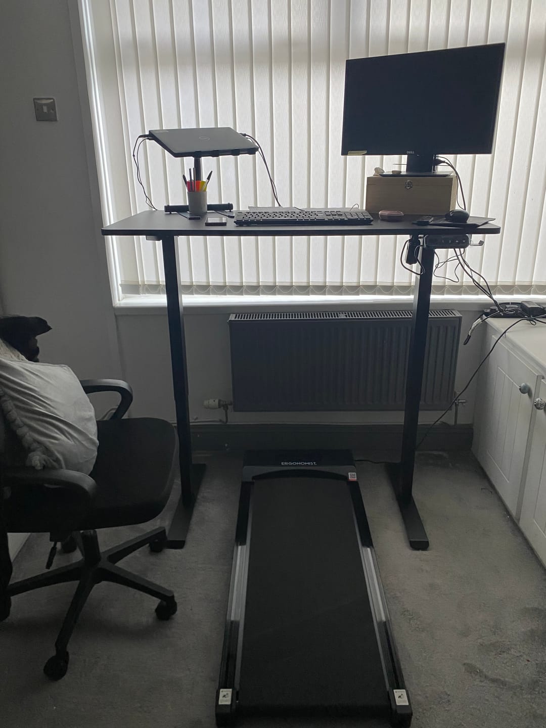 Customer photo review of Core | Sit/Stand Height Adjustable Desk