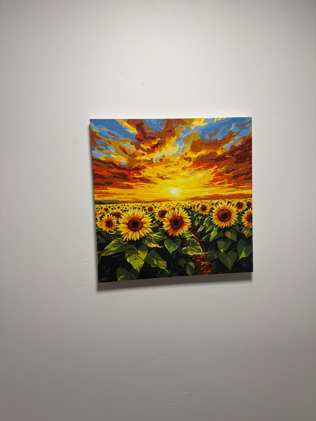 Customer photo review of Field Fire