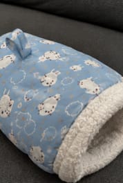 Customer photo review of Cozy Pup Pod