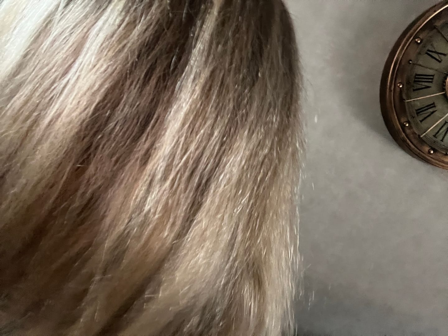 Customer photo review of Leave-In Molecular Repair Hair Mask