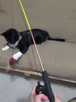 Customer photo review of Caña para jugar con gatos: juega sin arañazos