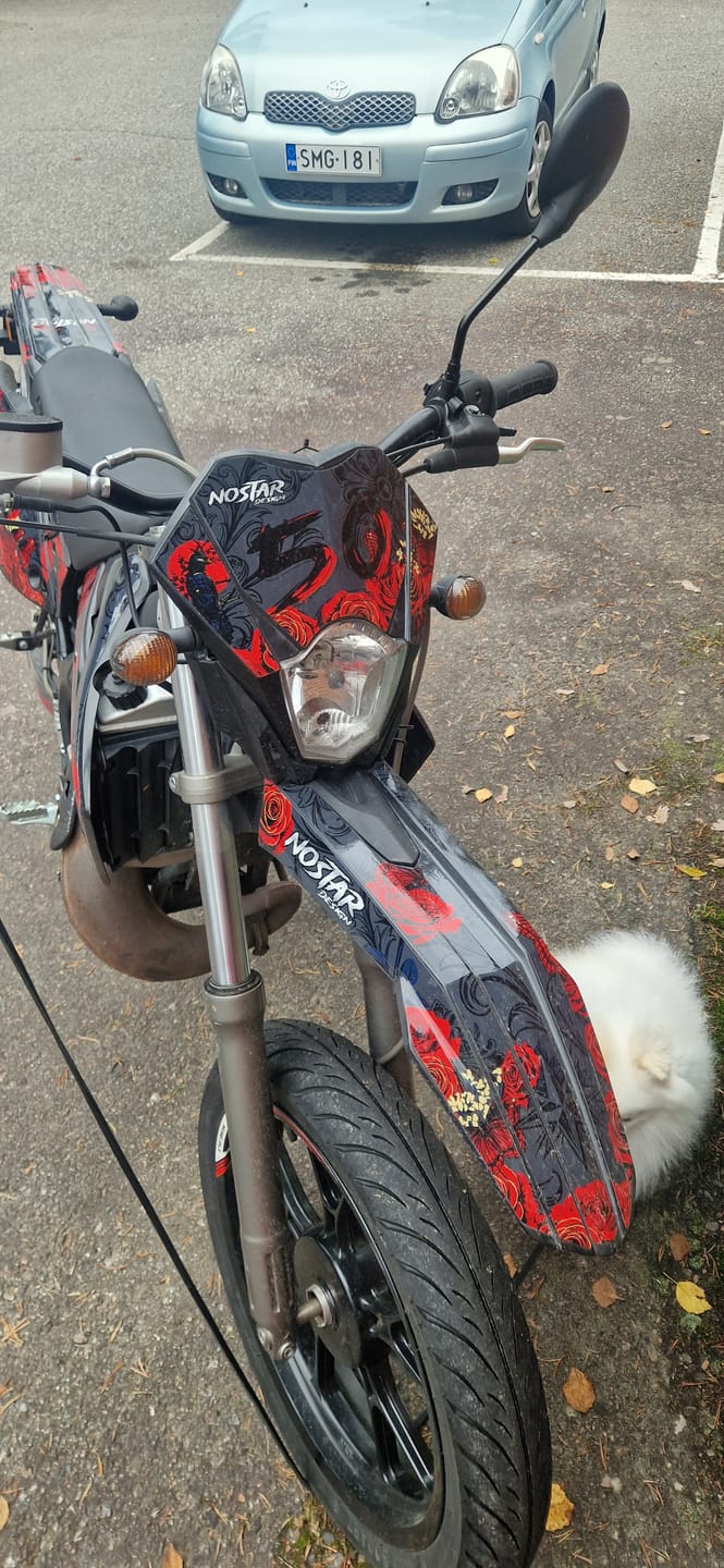 Customer photo review of Blood Samurai Graphcis
