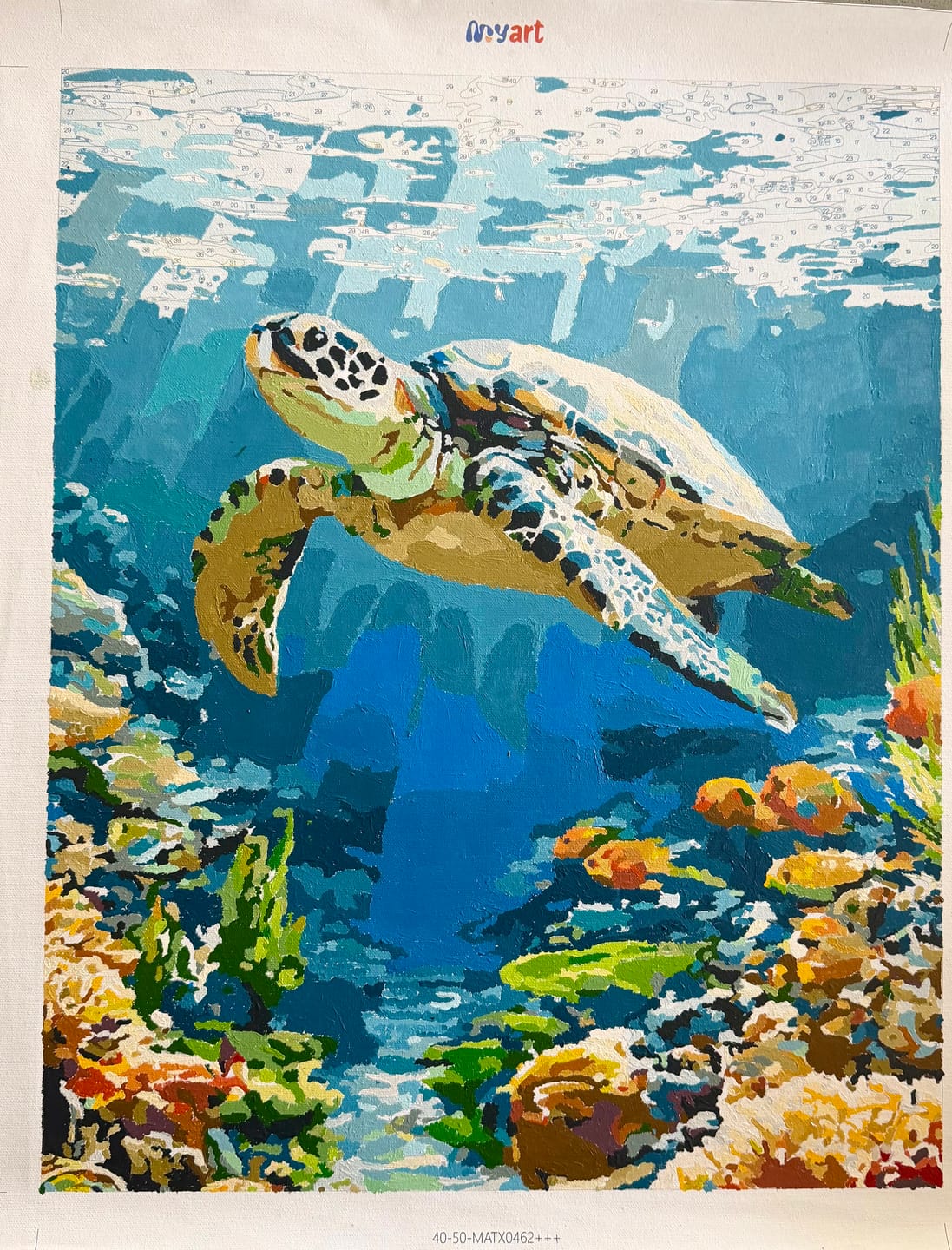 Customer photo review of Reef Turtle