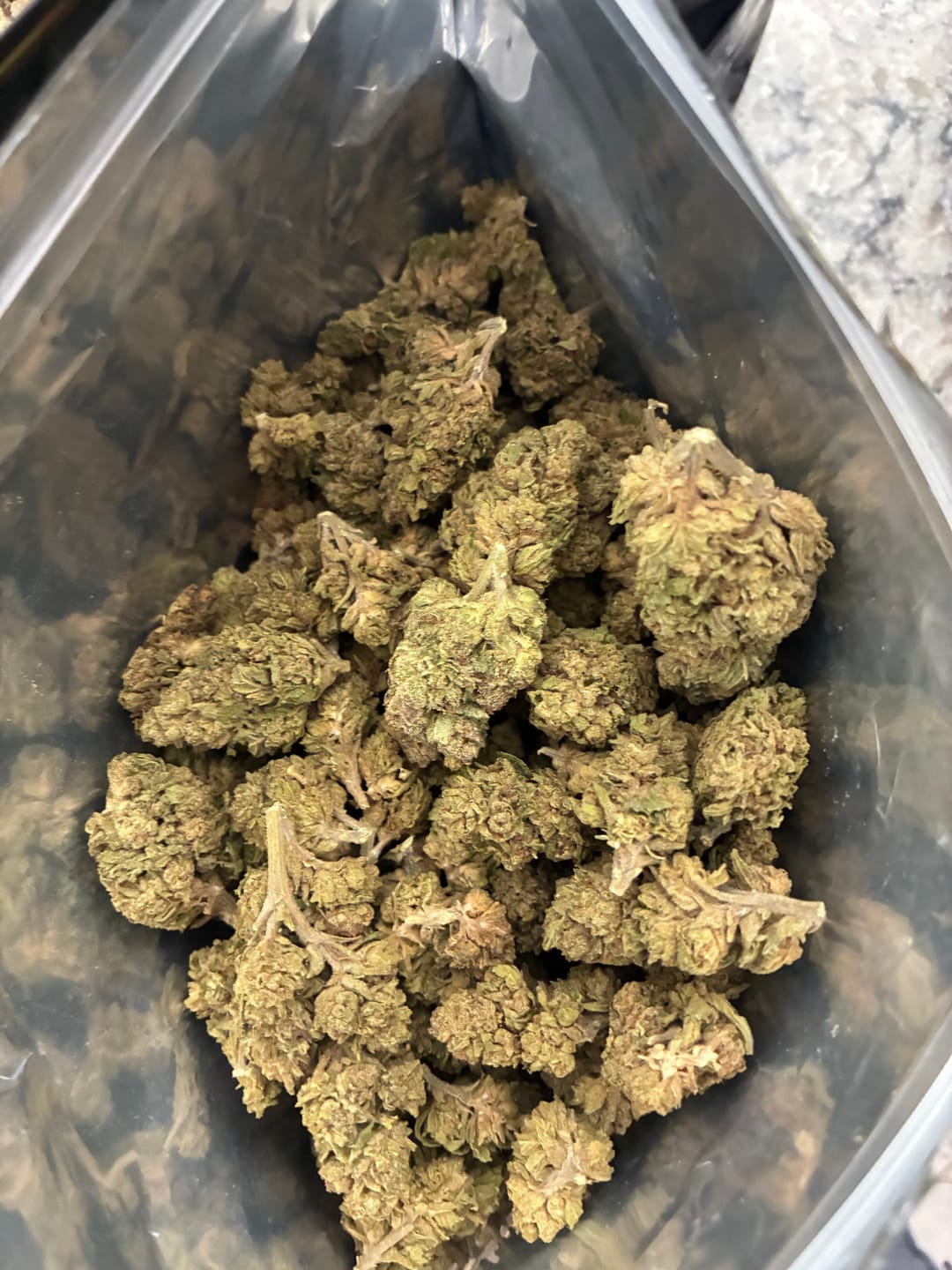 Customer photo review of Kinglato THCA Flower