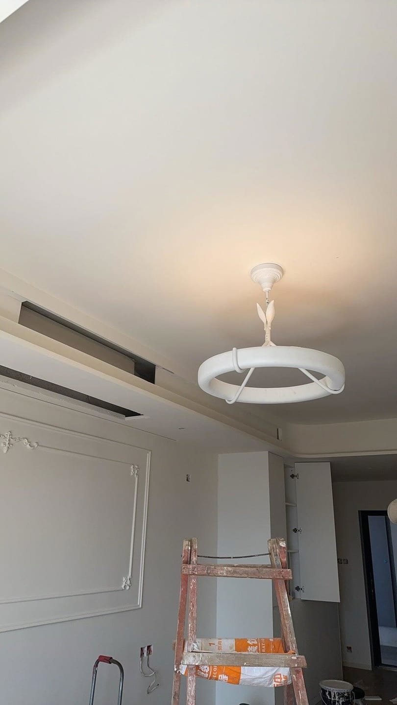Customer photo review of White Plaster Ceiling Light, Plant Stem Details, Chandelier
