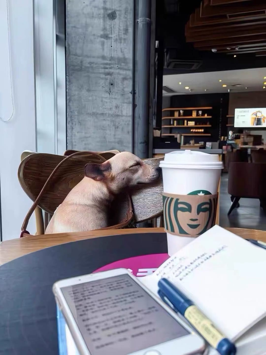 Customer photo review of Real Dog