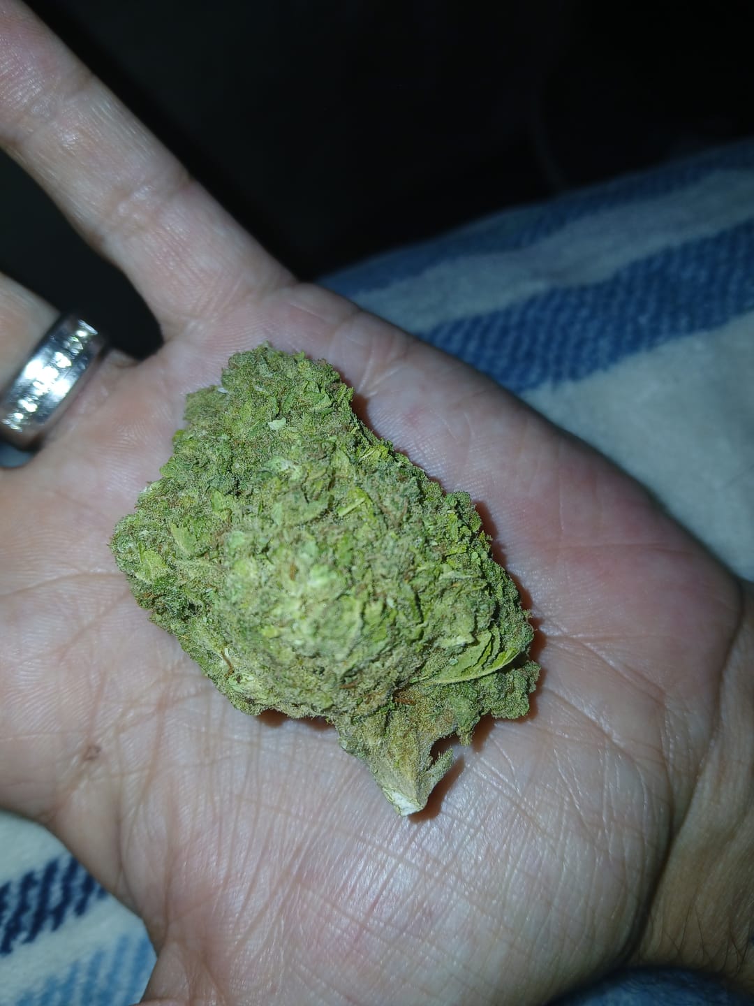 Customer photo review of THCA Queen