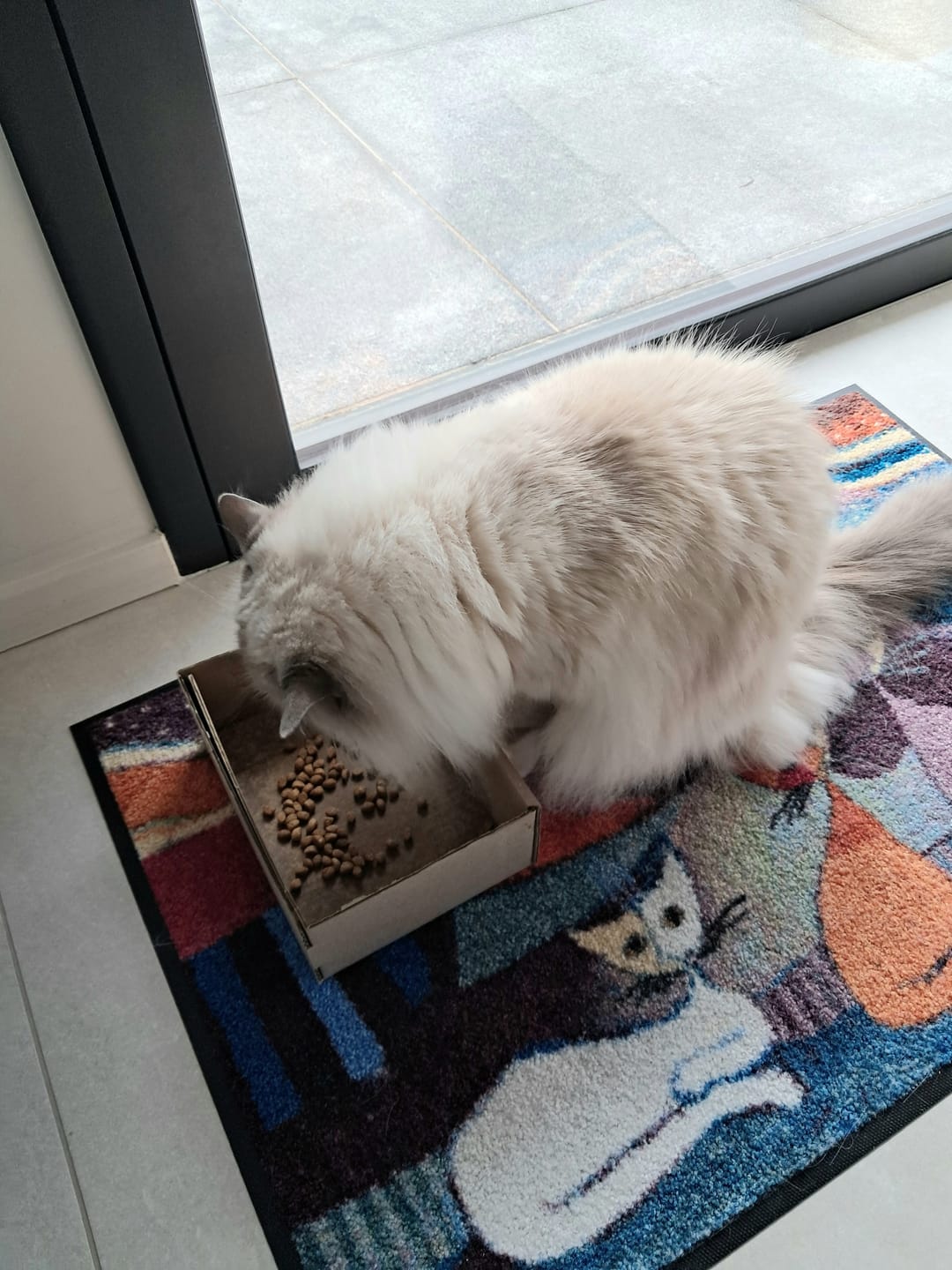 Customer photo review of Croquettes riches en poissons blancs frais (Chat stérilisé)