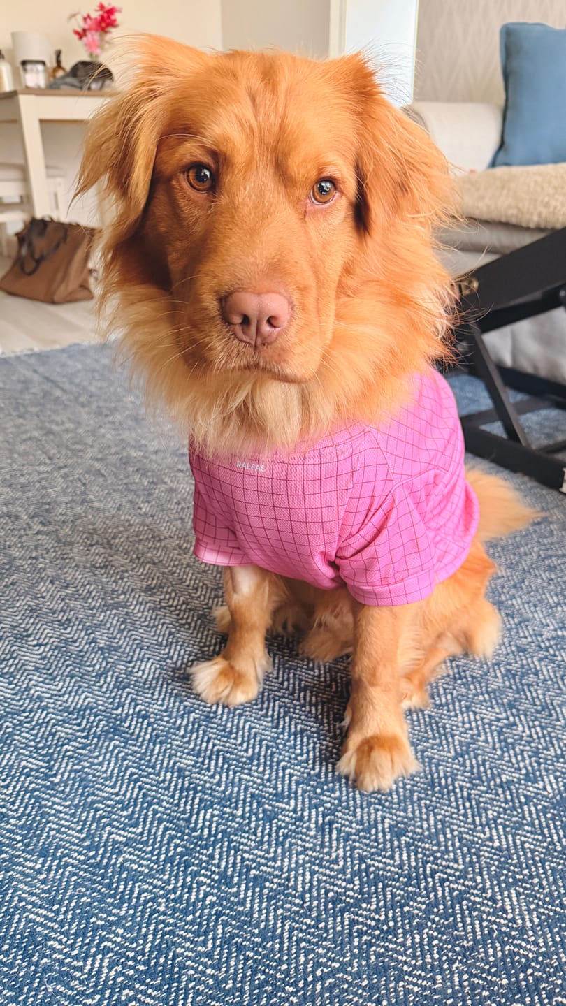 Customer photo review of Polera de Enfriamiento Rosa
