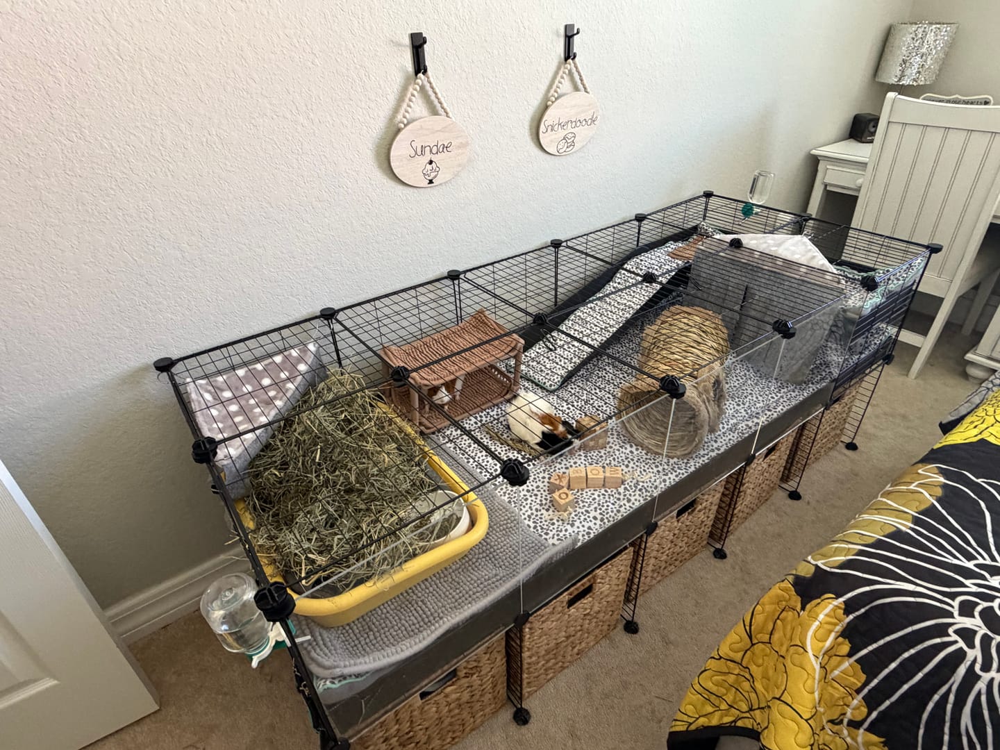 Customer photo review of Plush Fleece Liner for Guinea Pigs | Dalmatian Collection