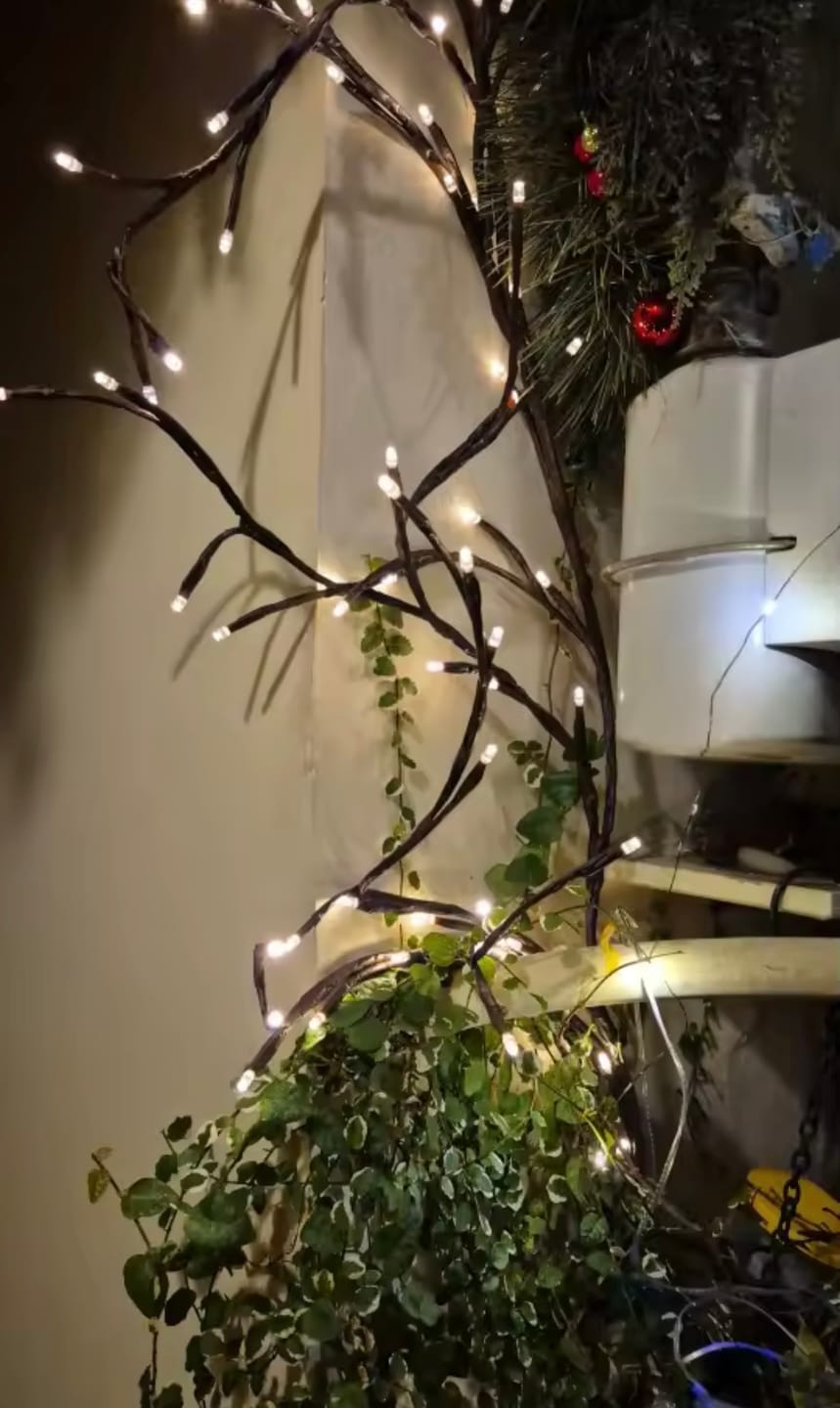 Customer photo review of Everglow™ Rama de Luz Navideña Acogedora