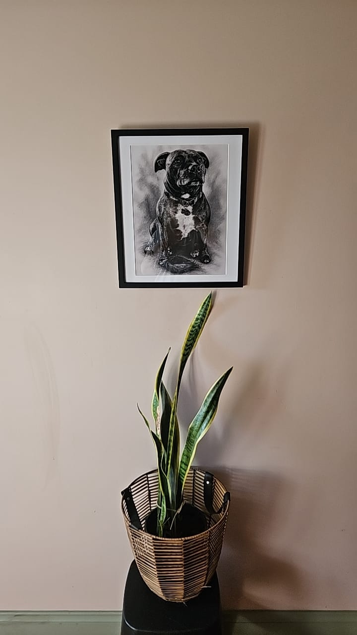 Customer photo review of Personalised Poster - Charcoal