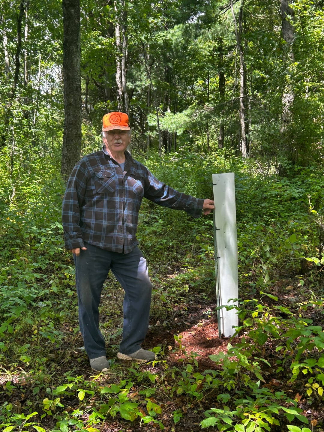 Customer photo review of Hybrid Chestnut