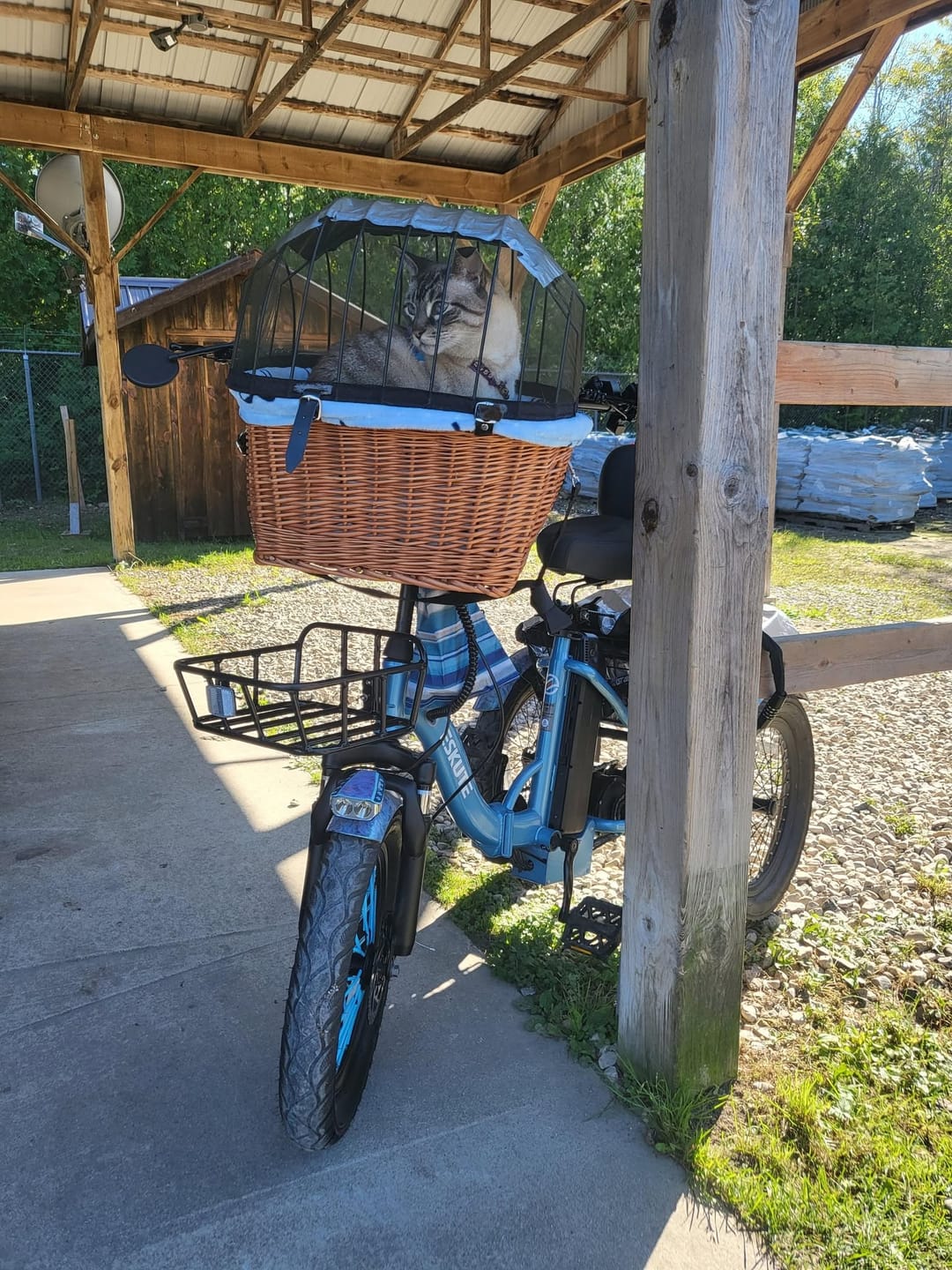Customer photo review of Eskute® T300 Folding Electric Trike