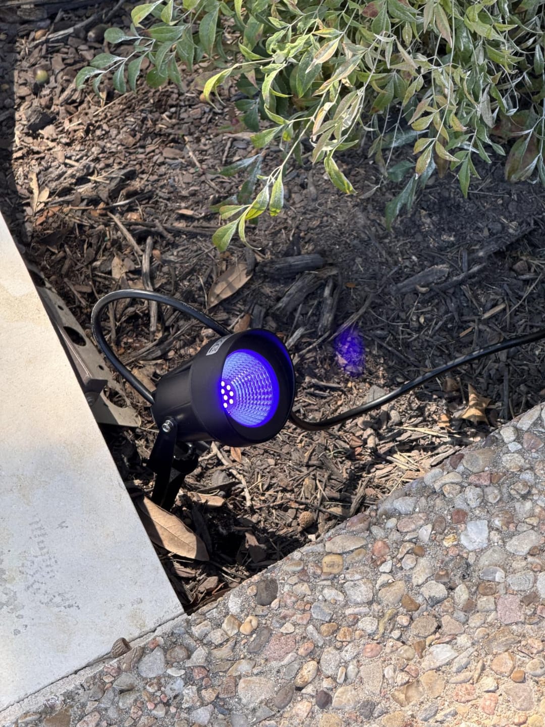 Customer photo review of 2-in-1 LED Landscape Spotlight 120° Wide Beam Waterproof Purple Outdoor Light for Halloween