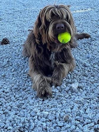 Customer photo review of Kit Difusor Calmante para Mascotas