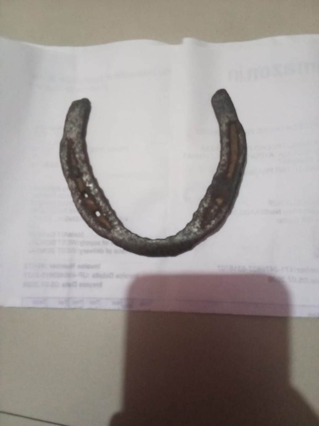 Customer photo review of Black Horse Shoe (Kale Ghode ki Naal) – 100% Natural