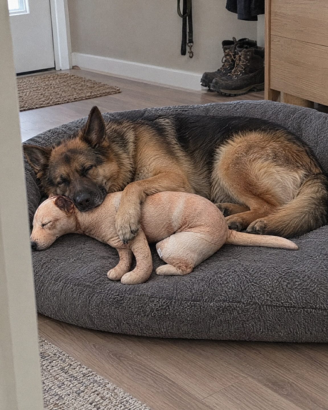 Customer photo review of Real Dog