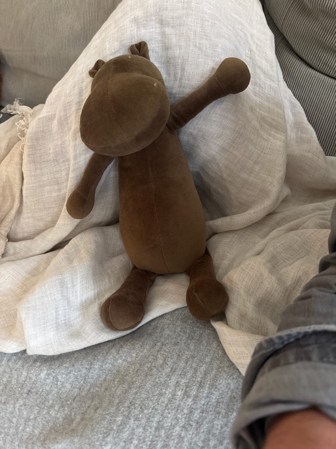 Customer photo review of MOMO L'HIPPOPOTAME - L