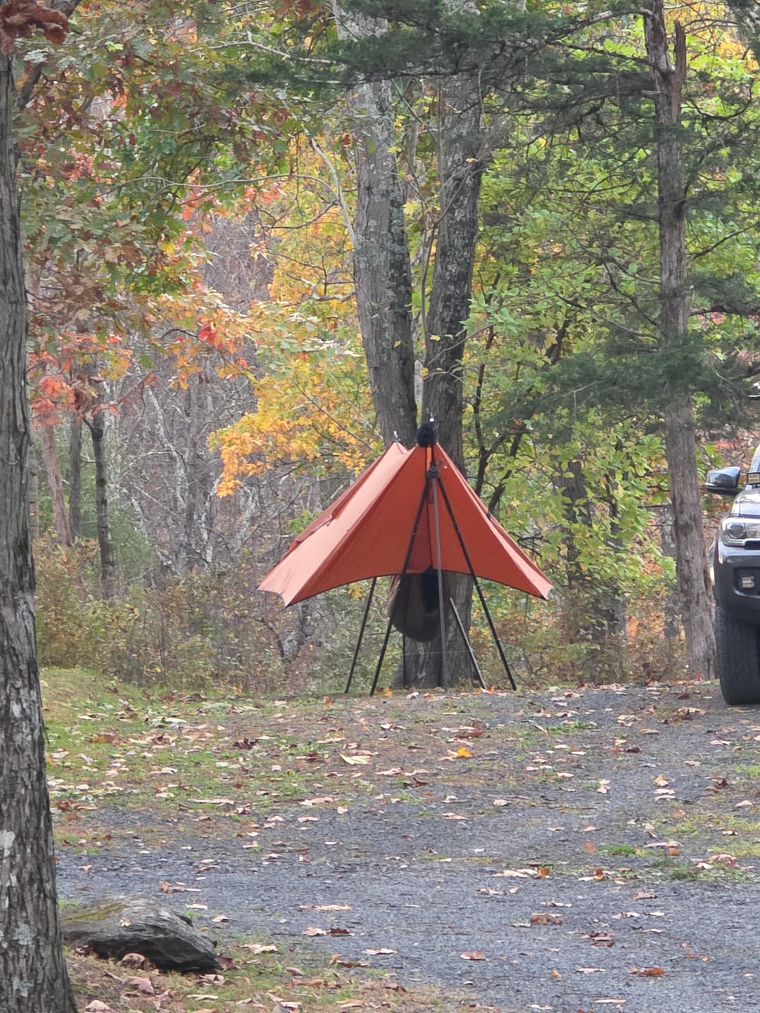 Customer photo review of Turtlebug Camper Hammock Stand