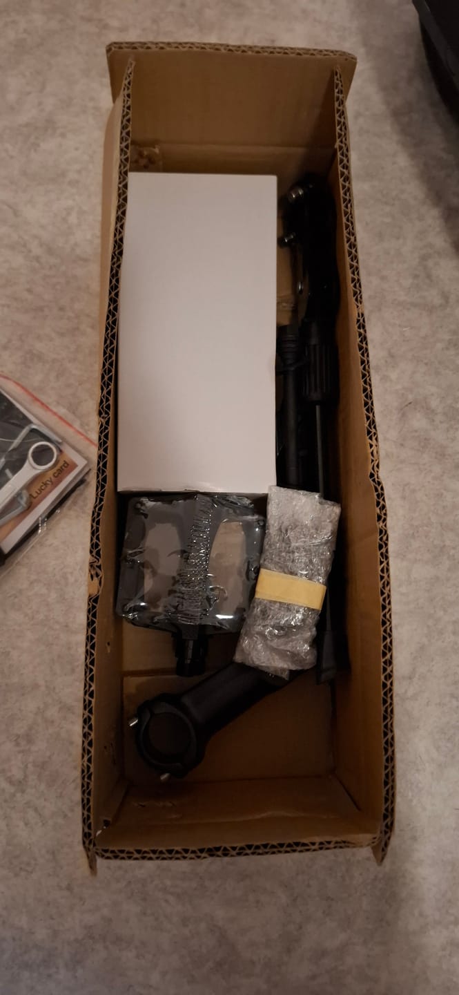 Customer photo review of Eskute C202 City E-Bike