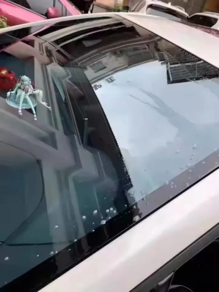Automotive glass cleaning customer photo