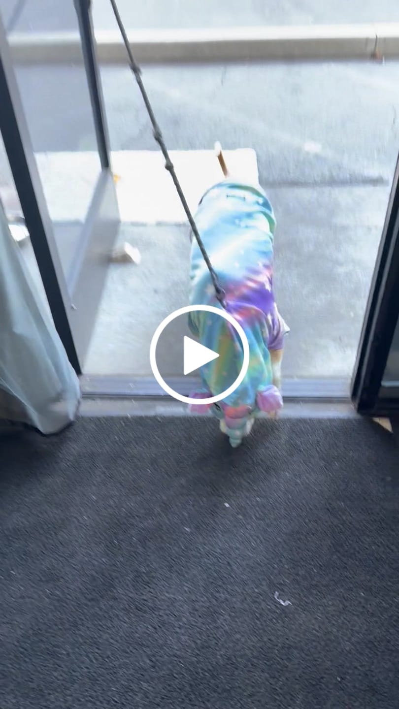 Customer video review of Halloween Dog Hoodie - Unicorn