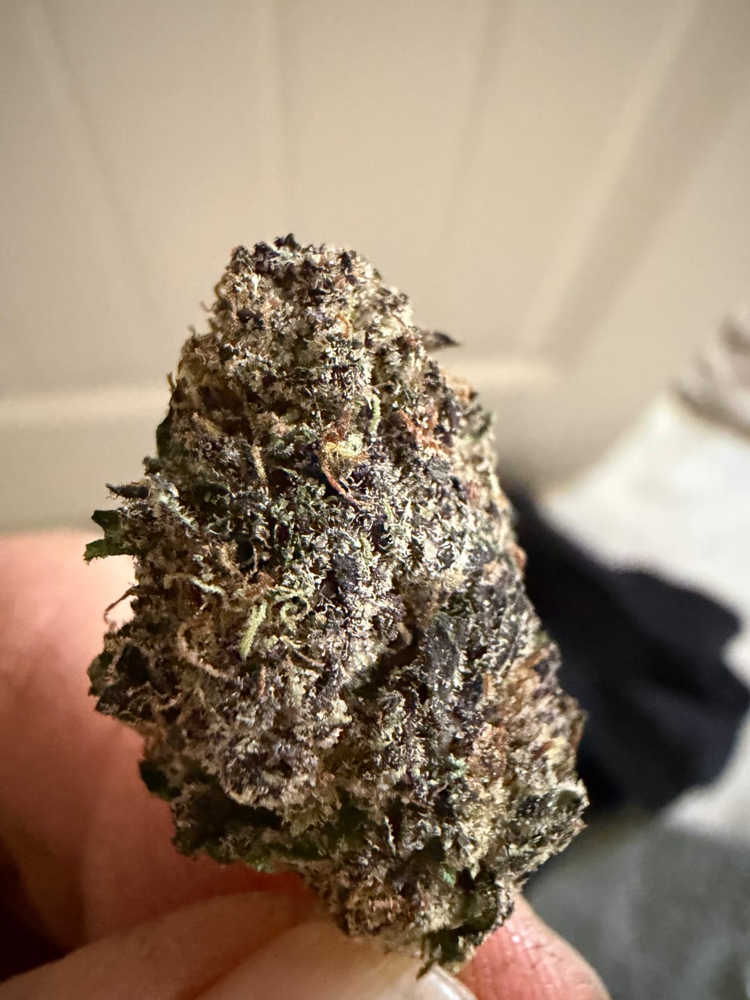 Customer photo review of Exotic Indoor Express THCA Flower (7 Grams)