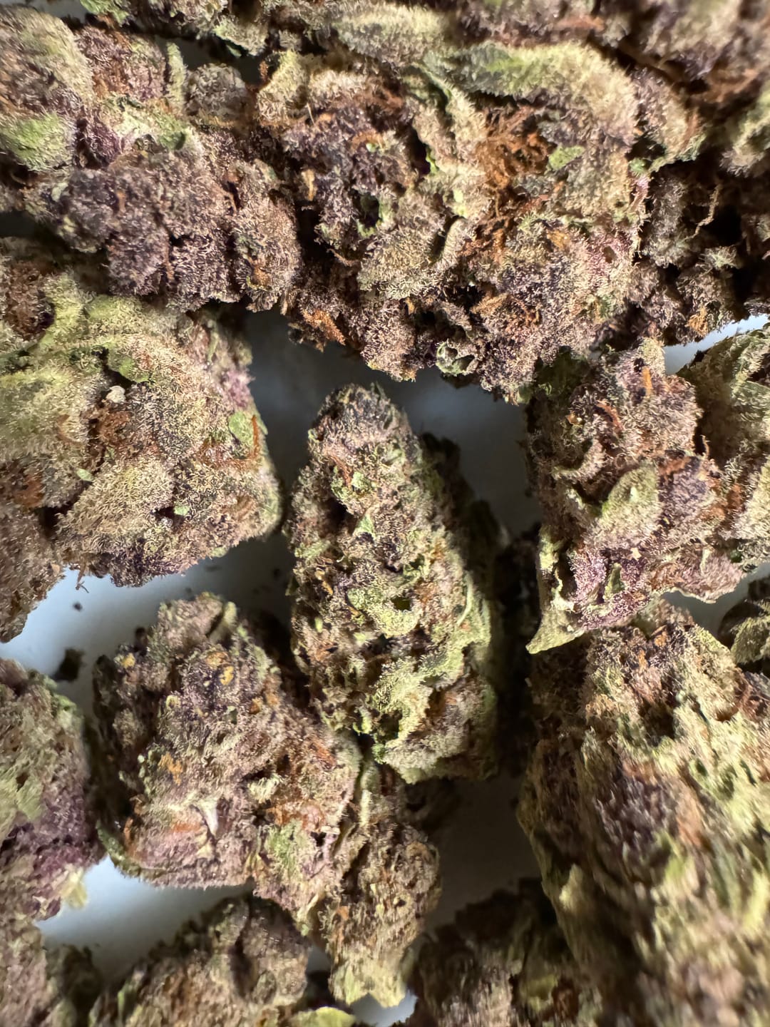 Customer photo review of Tropicana Cherry THCA Flower