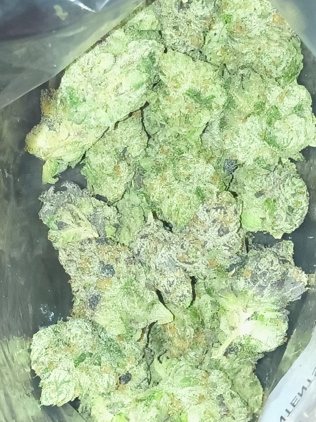 Customer photo review of Biscotti THCA Flower (Premium)