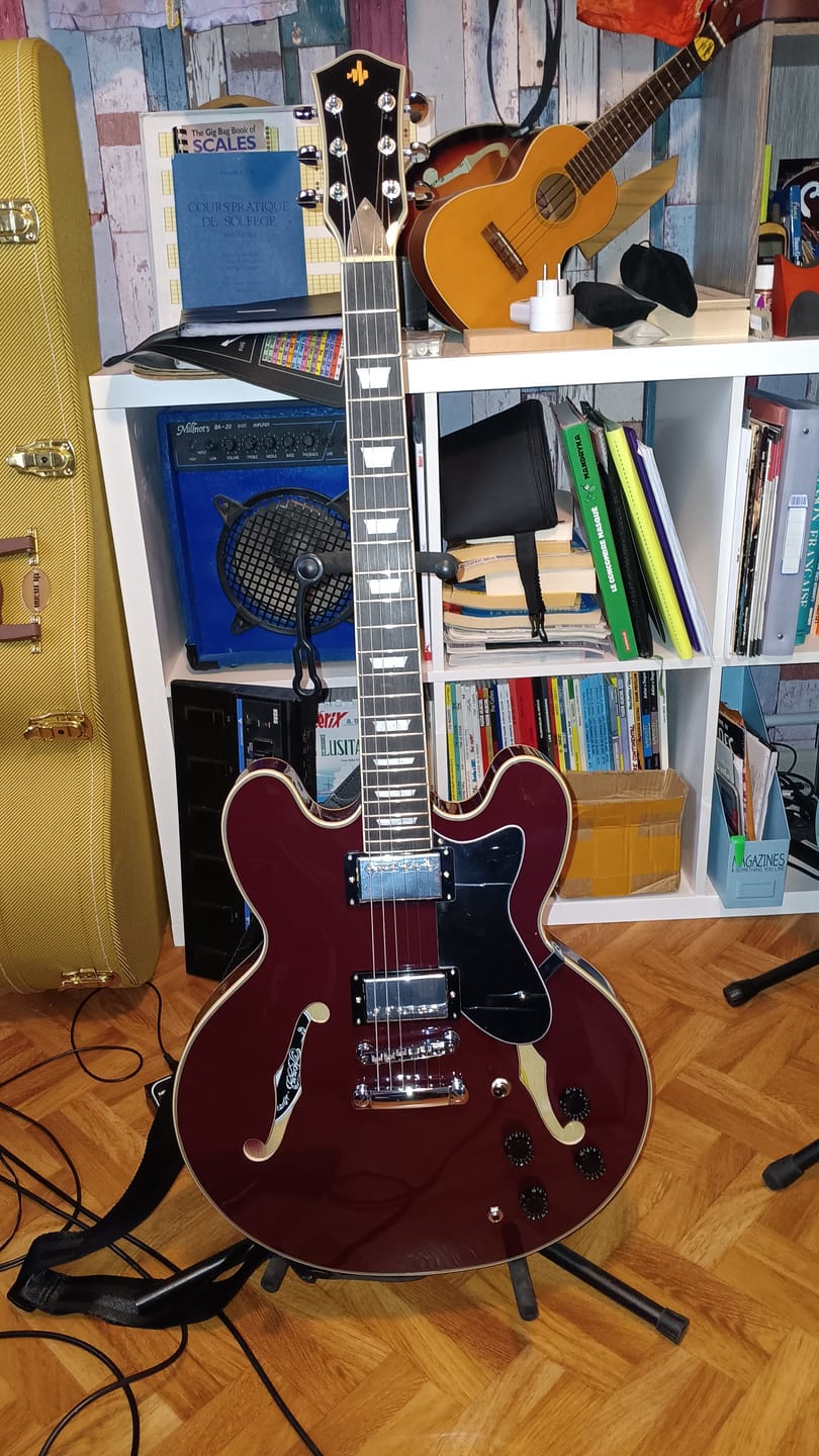 Customer photo review of Donner DJP-1000 Guitare Jazz Demi-Caisse