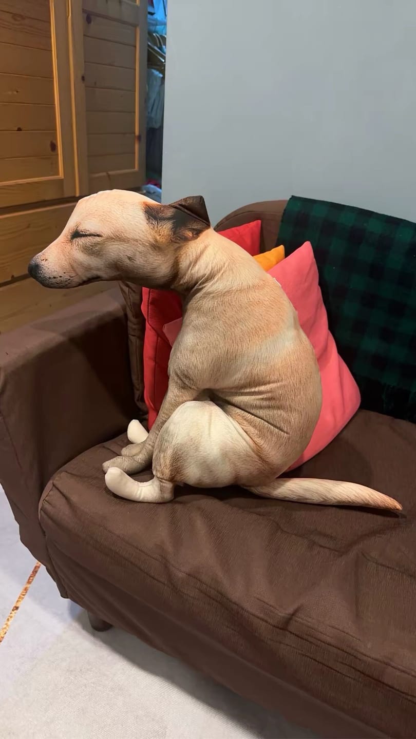 Customer photo review of Real Dog