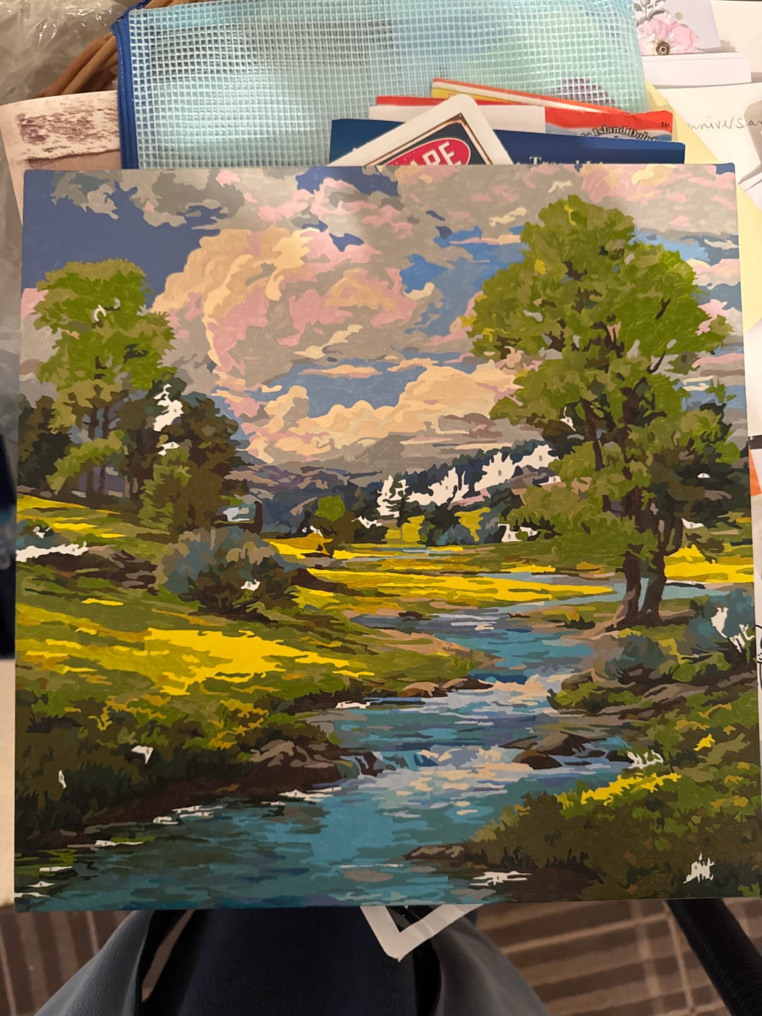 Customer photo review of Peaceful River (Paint by Numbers)